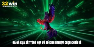 Đá Gà Cựa Sắt - Tổng Hợp Vô Số Kinh Nghiệm Chọn Chiến Kê