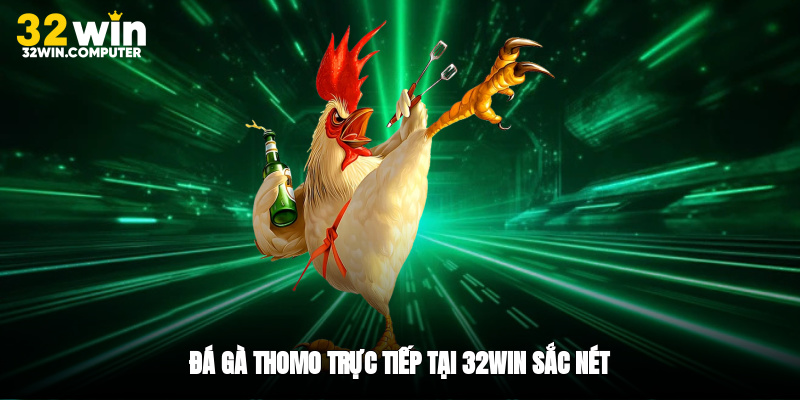 Đá gà Thomo trực tiếp tại 32win sắc nét